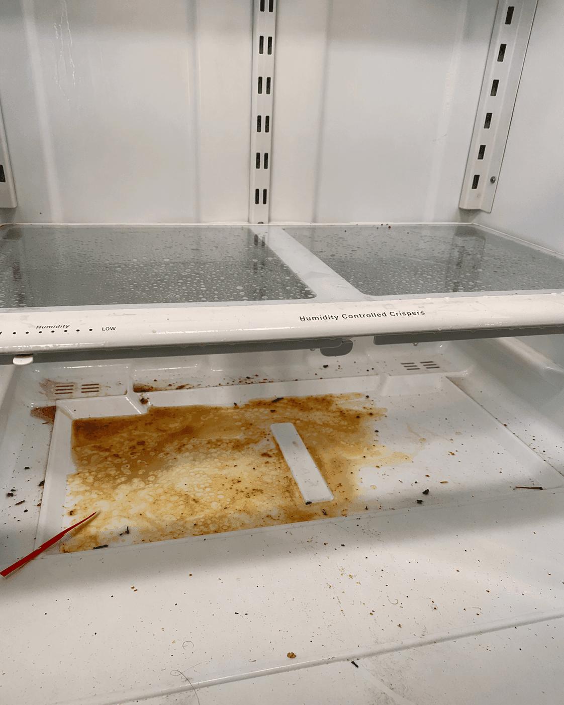 Before cleaning — Deep Clean Project · 01